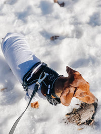 Waterproof Dog Leash - Pink - Sharper Barker