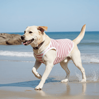Sunset Stripes Pink & White Striped Dog Shirt โ Lightweight & Breathable Dog Tee for Stylish Pups - Sharper Barker