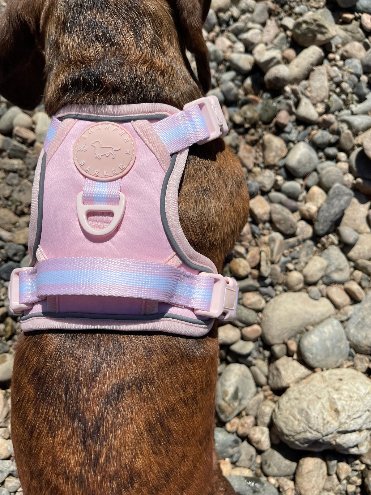 Comfort Harness - Pink