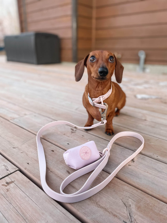 Waterproof Dog Collar - Baby Lilac - Sharper Barker