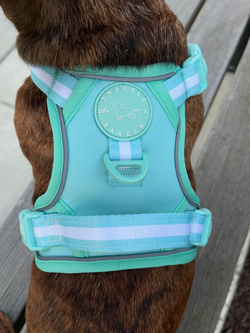 Comfort Harness - Turquoise