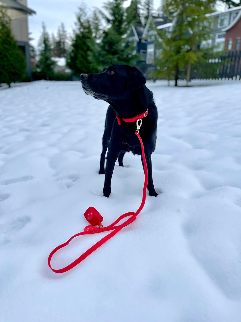 red dog accessories, big dog accessories, red dog leash, waterproof dog leash