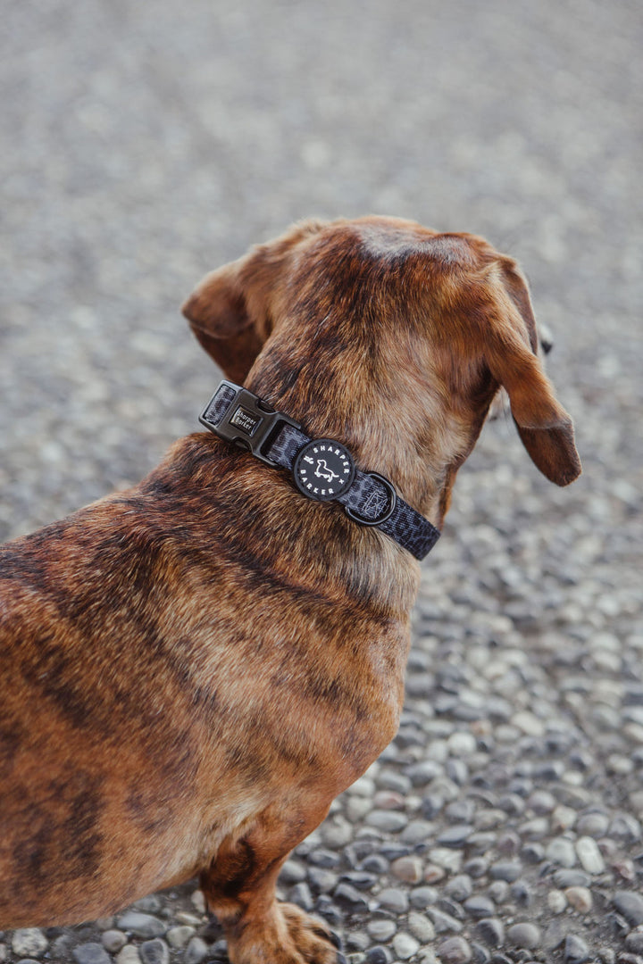 Comfort Collar - Black Leopard