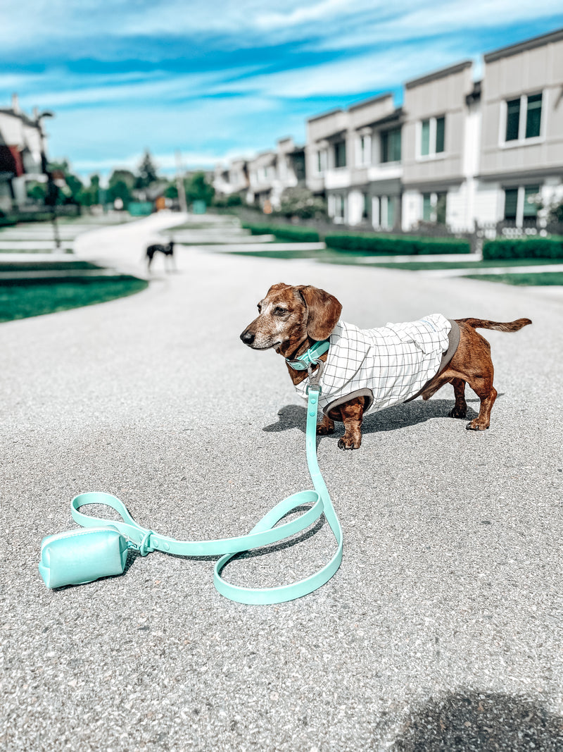 Waterproof Dog Leash - Turquoise