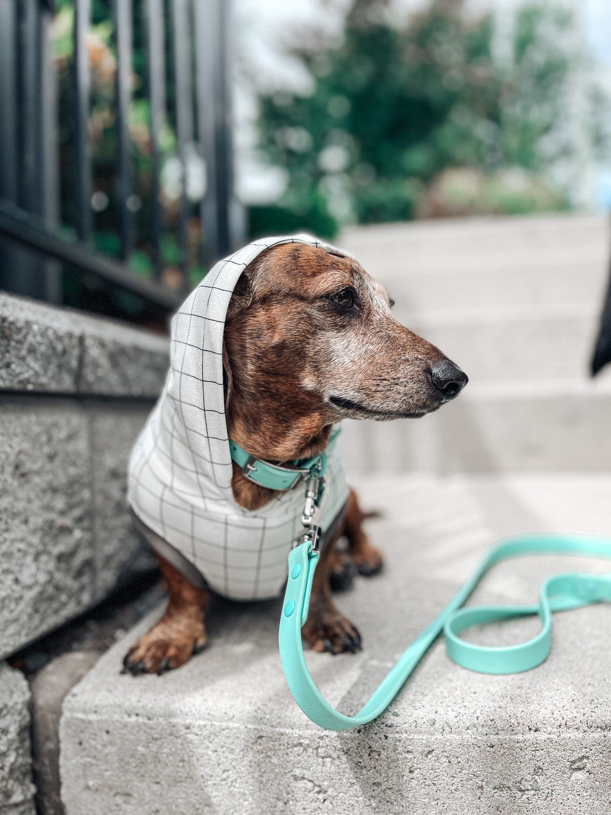 Waterproof Dog Leash - Turquoise