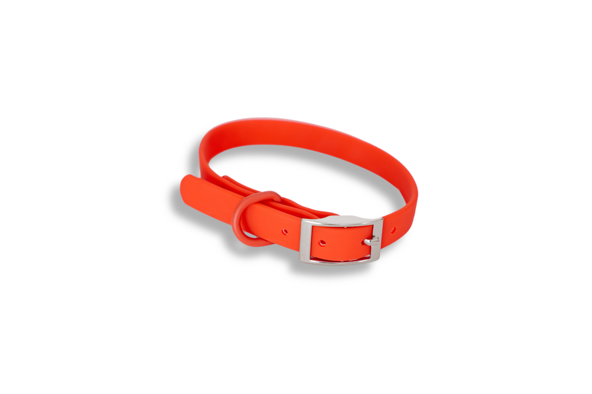 Waterproof Dog Collar - Red