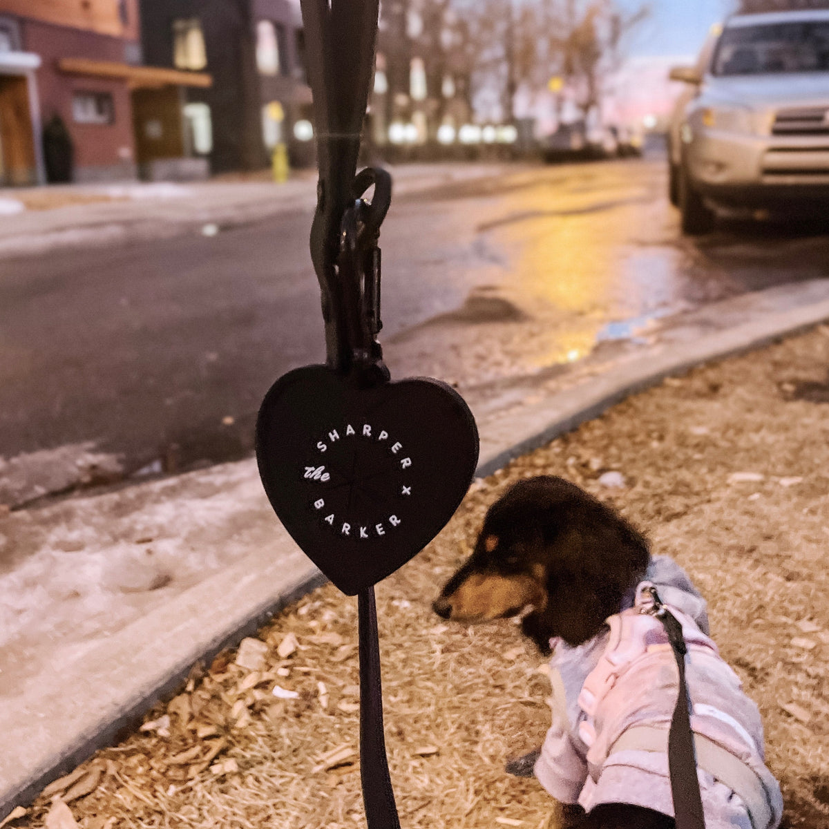 Hands Free Waste Carrier - Black