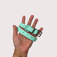 Waterproof Dog Collar - Turquoise