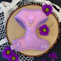 Adjustable Dog Harness Purple
