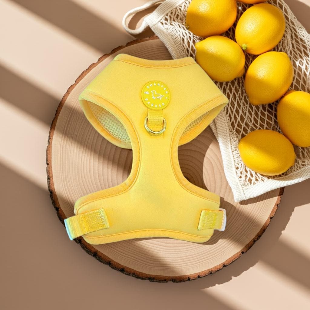 Adjustable Dog Harness Purple