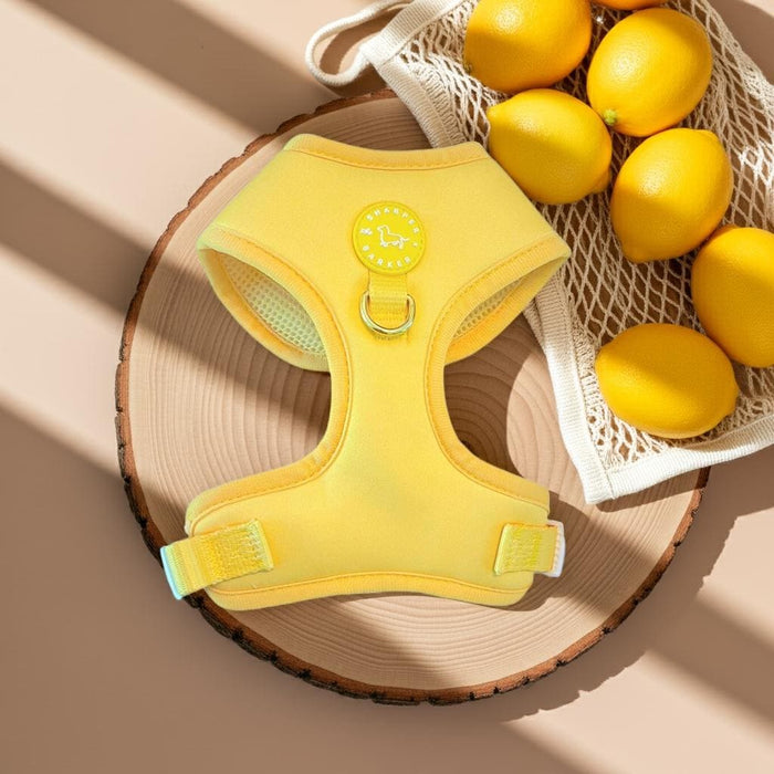 Adjustable Dog Harness Yellow