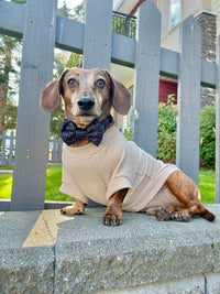 Biscuit Fleece Dog Crew