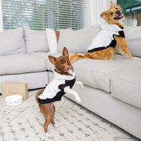 Clothes for dogs. Dog hoodies. Lightweight dog hoodies.